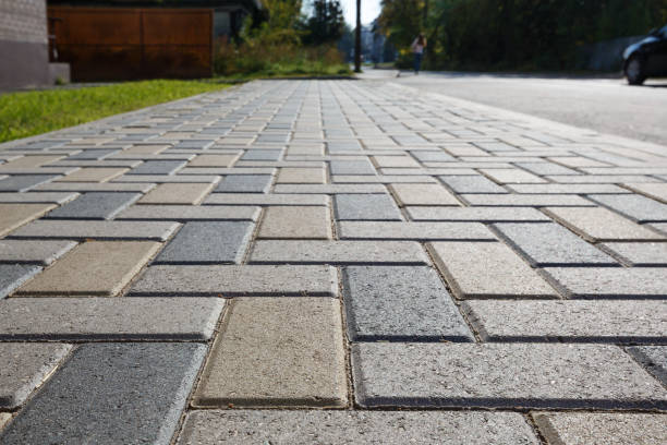 Best Driveway Paving Company  in Gruetli Laager, TN
