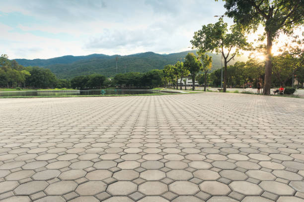 Best Concrete Paver Driveway  in Gruetli Laager, TN